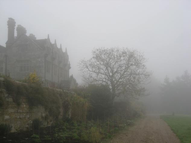 Foggy Manor