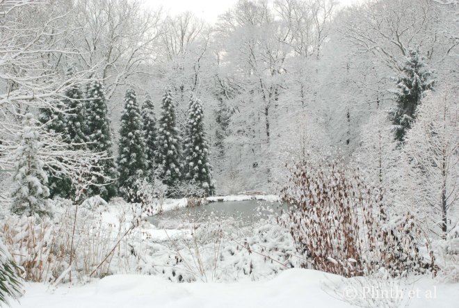 The Pond Garden in Snow at Chanticleer