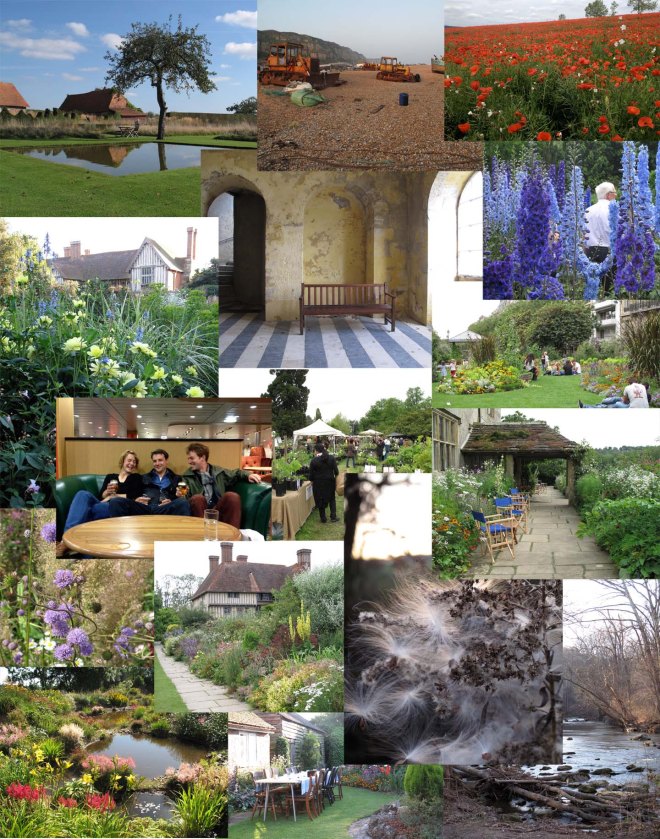 Left beginning from upper left to the bottom right: Le Jardin Plume; Hastings Beach; poppies in Normandy, France; dahlias at Great Dixter, England; Promenade plantée in Paris; delphiniums at the RHS Plant Trials beds at Wisley; park in Blois, France; Friends drinking - Rachael, Yannick, and James; Courson Flower Show in France;  Succissia pratensis; Great Dixter's Long Border; Milkweeds and goldenrod in Rhode Island;  Keith Wiley's Wildside in Devon, UK; dinner at private garden; White Clay Creek Preserve, Pennsylvania 