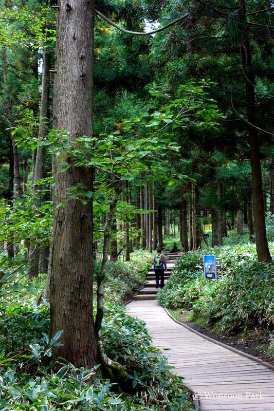Koreans still enjoy hiking in natural areas. 