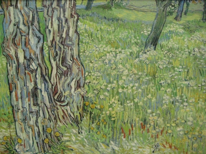 Vincent van Gogh Tree Trunks in the Grass, 1890