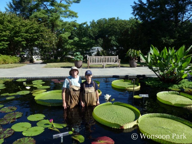 Wonsoon Park and Tim Jennings, Senior Gardener for the Outdoor Water Lily Display, at Longwood Gardens