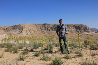 with Asphodeline lutea in the Southern Highlands, Jordan’